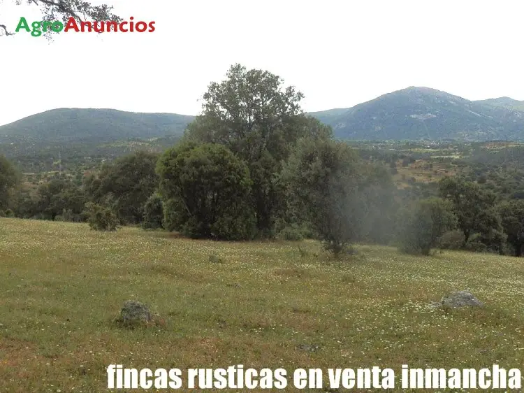 Venta  de Finca rústica ganadera en Toledo