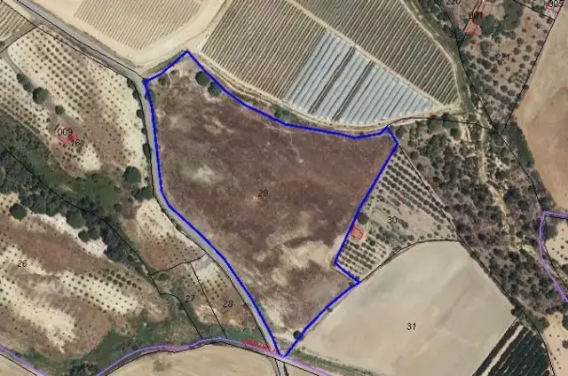 Finca rústica en venta en Gibraleón