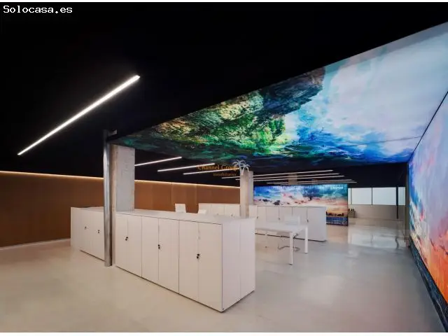 Alquiler Oficinas Lujo 400m2 Torrellano
