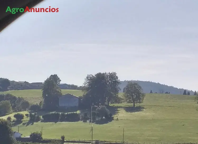 Venta Finca Ganadera Torrelavega 65000m2 Cuadra Vivienda