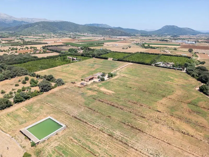 Finca Rustica en Buger Mallorca 79140m2