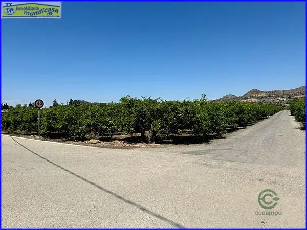 Finca Rustica con Limoneros en Murcia