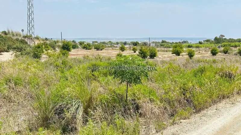 Parcela Rustica en Venta Elche La Marina - Ideal Cultivo y Recreo