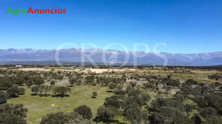 Venta  de Finca de recreo en Cáceres