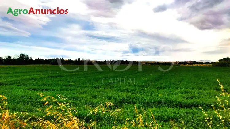 Venta  de Finca de regadío en Madrid