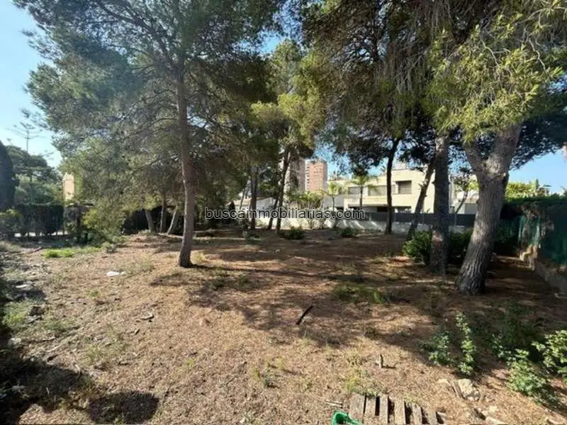 Parcela Rustica en Venta Orihuela Dehesa Campoamor