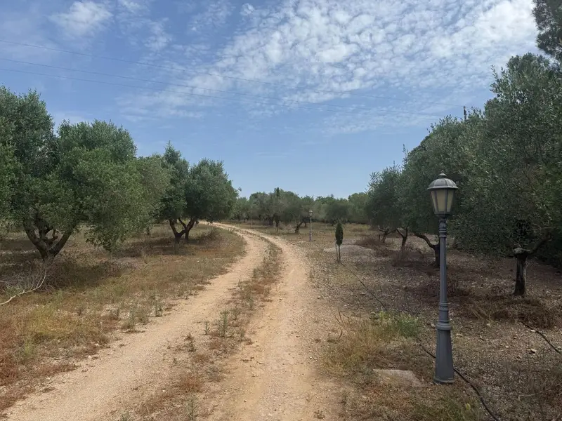 Finca/Casa Rural en venta en Santa Oliva, Tarragona