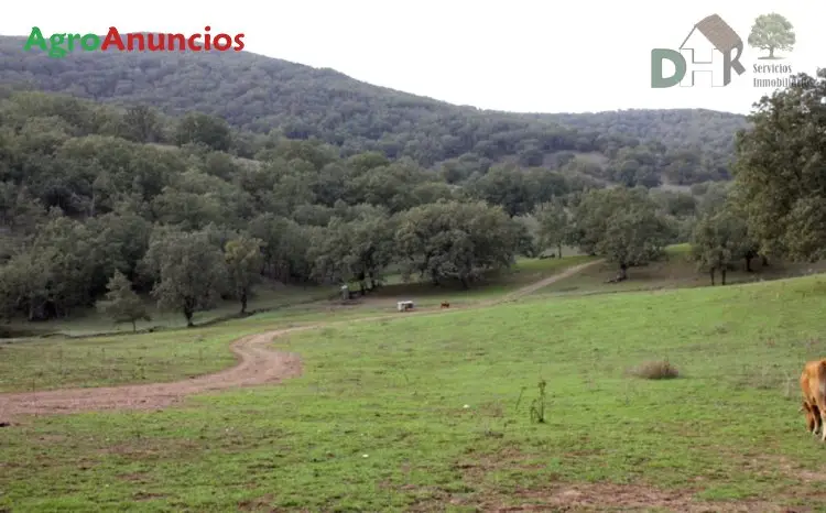 Venta  de Finca rústica de robles, encinas y castaños en Cáceres