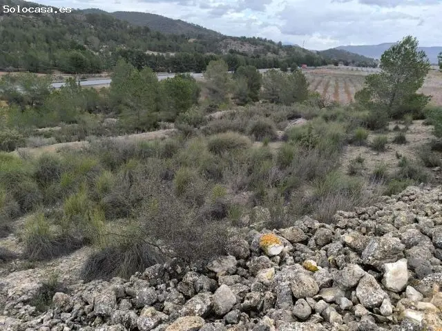 Parcela en Venta Monovar - Amplia Finca Rustica con Vistas