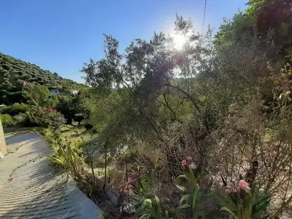 Huerta en Venta La Iruela 6444m2