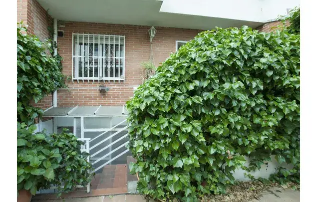 Casa 8 Dormitorios Villaviciosa de Odón Alquiler 3-24 Meses
