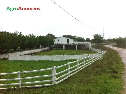 Venta  de Finca de recreo en Sevilla