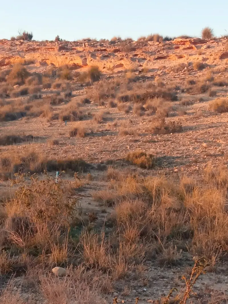 Venta Solar en Mutxamel Valle Del Sol