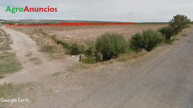 Venta  de Finca de regadío, llana y accesible. en La Rioja