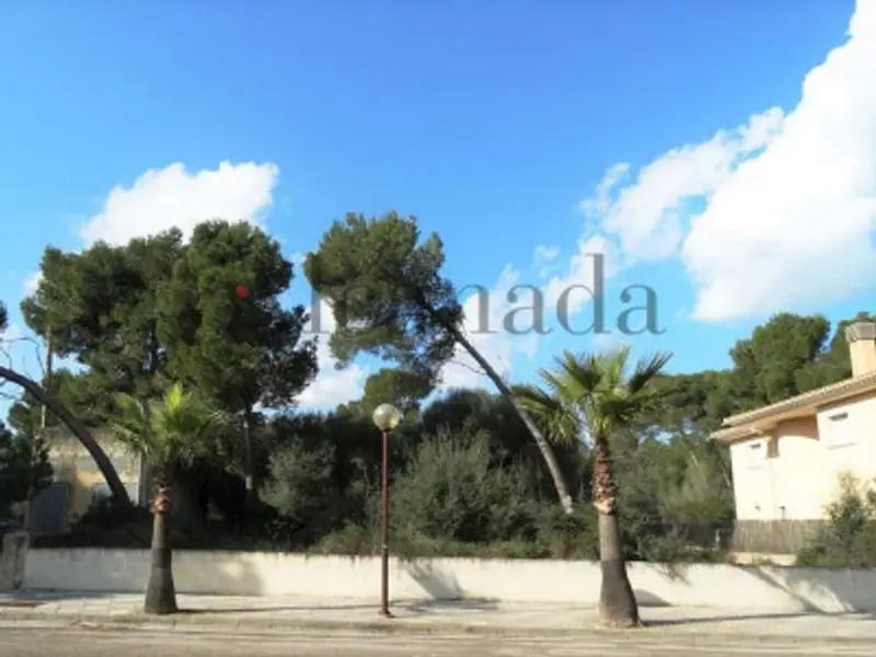 venta Terreno en Santa Margalida, Balears (Illes) (TEJ-6990540)- Globaliza