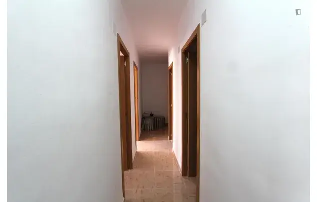 Alquiler Apartamento 5 Dormitorios Alicante Cerca Transporte