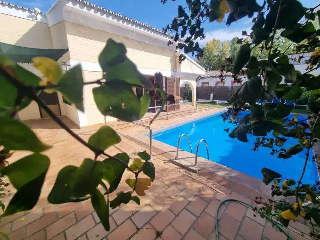 Casa Villa 4 Dormitorios Piscina Jardin Cortes de la Frontera
