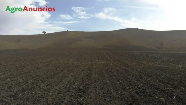 Venta  de Finca de secano en Córdoba