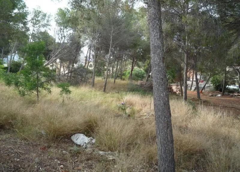 Solares Edificables en Venta Moraira