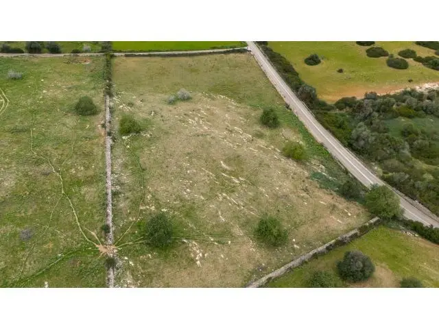Parcela Rustica Edificable Son Servera Mallorca 14000m2