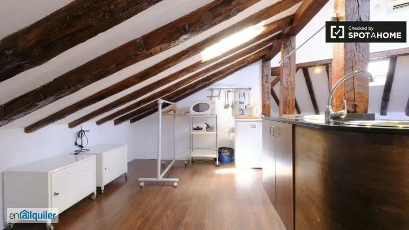 Apartamento 2 Dormitorios Madrid Centro Encantador