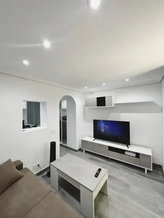 Apartamento 1 Dormitorio Madrid Alquiler