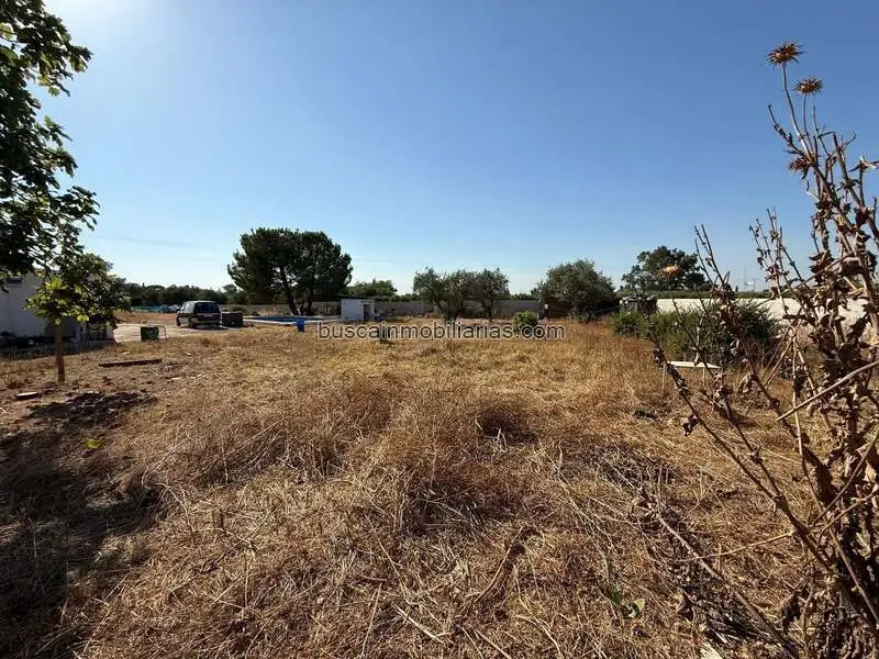Parcela Rustica en Venta en Carmona con Vivienda y Piscina