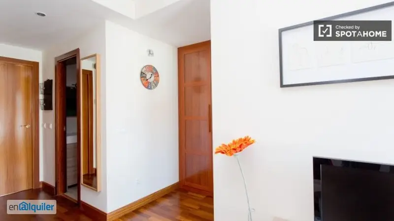 Rent furnished apartment air conditioning Madrid