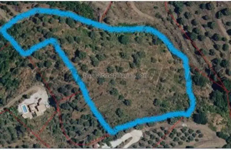 Parcela en Venta en Cómpeta - 10017m2