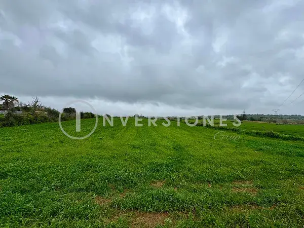 Terreno Rustico Manacor 17944m2 Vivienda Aislada Piscina