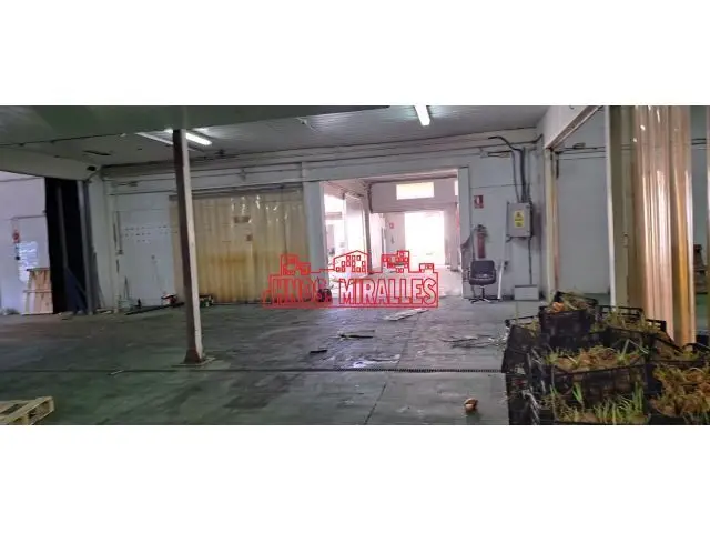 Nave Frigorifica Orihuela Venta Alquiler