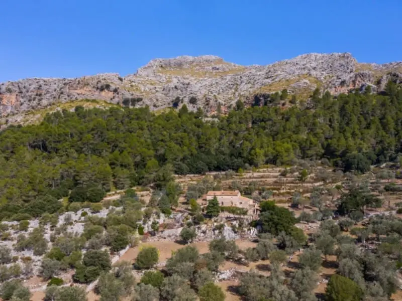 Finca Rustica en Venta Mallorca
