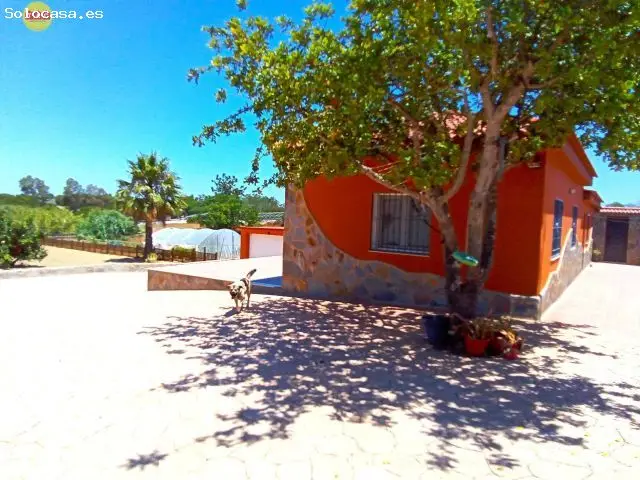 Finca Rustica Lepe 2753m2 Casa 88m2
