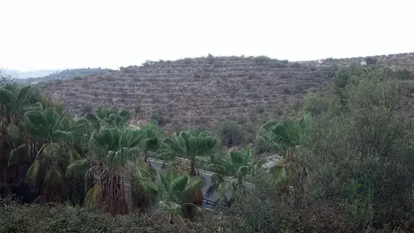 67500m2 Terreno Rustico Salem Gandia Inversores