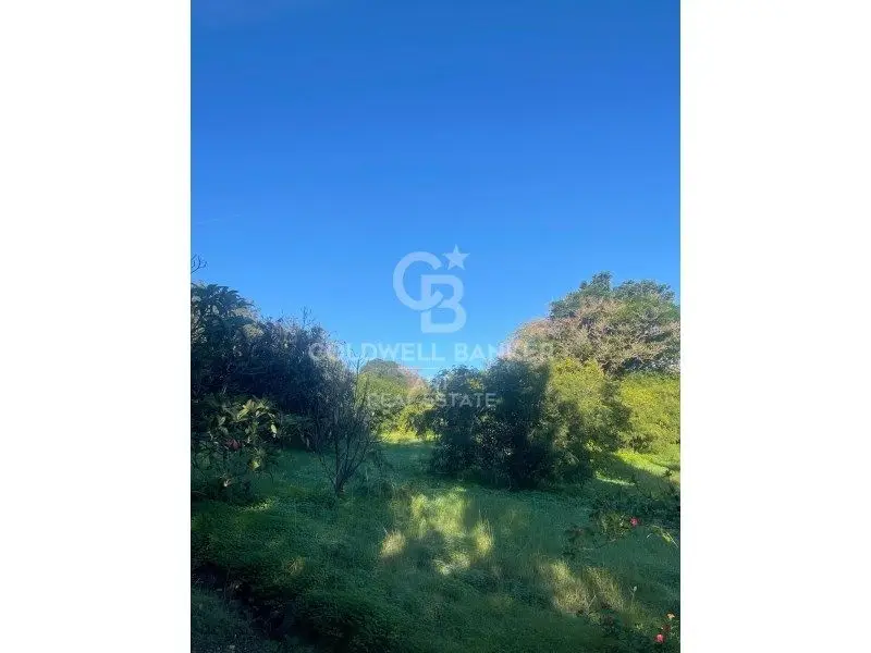 Venta Suelo Rustico Estepona 6000m2