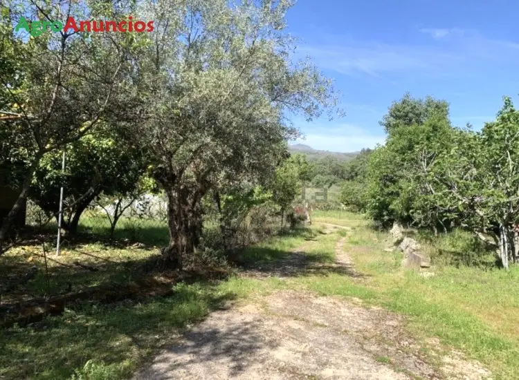 Venta  de Finca de recreo en Cáceres