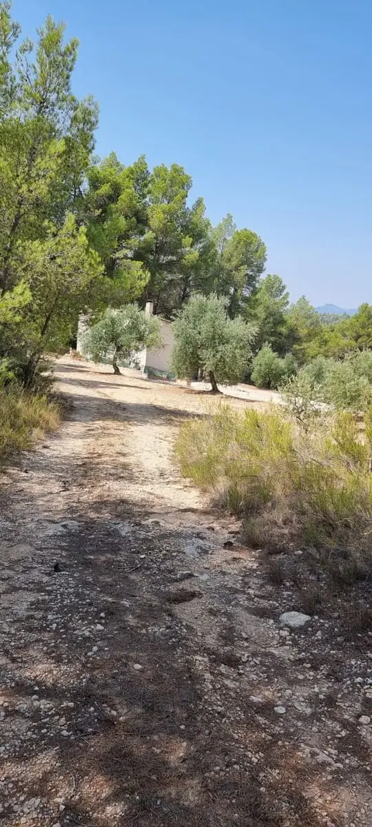 Finca Rural en Venta en El Priorat