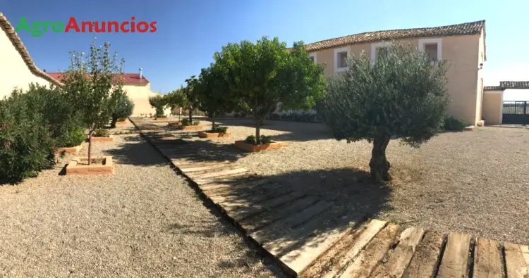 Venta  de Finca con 9 viviendas en Albacete