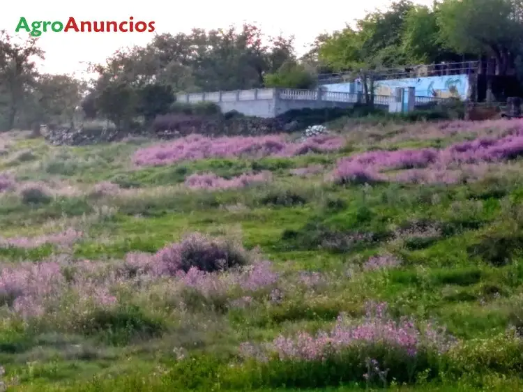 Venta  de Finca de recreo en Cáceres