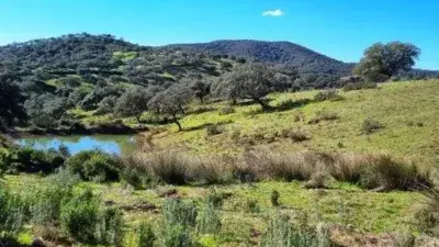 Casa Rústica en Venta en Zufre 187 Has