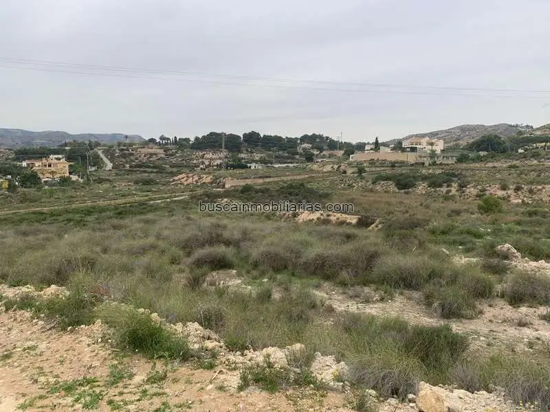 Parcela Rustica en Venta Elche 30000m2