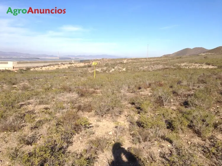 Venta  de Finca para invernadero y cultivos aire libre en Almería