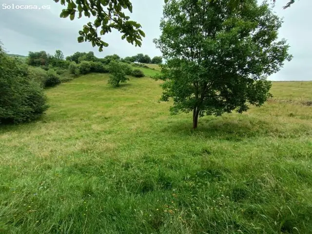 Terreno Rustico 4780m2 Alfoz de Lloredo