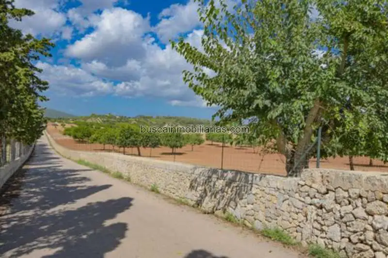 Parcela en Venta Felanitx 50263m2 con Pozo