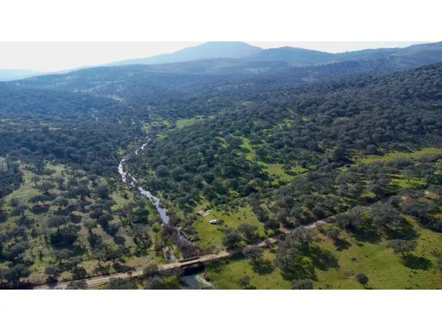 Finca Rustica en Extremadura 33 Hectareas