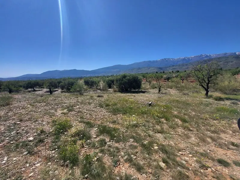 Venta Terreno Campillo Abrucena 17859m2 Finca Rustica