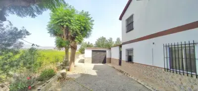 Chalet en Crevillente con Gran Finca Rustica