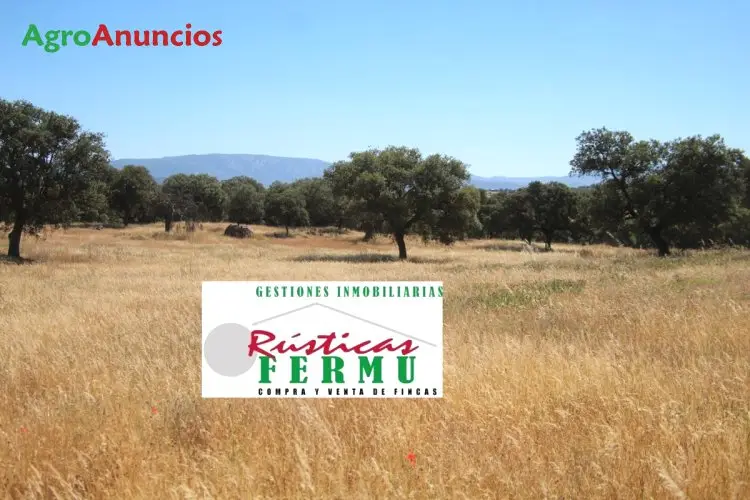 Venta  de Finca ganadera en Córdoba