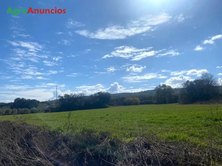 Venta  de Finca de regadío en Granada