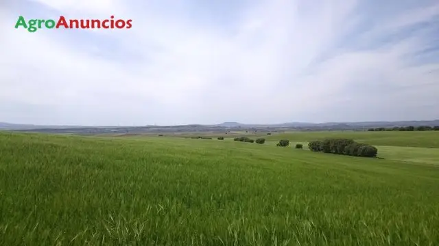 Venta  de Finca rustica de secano fresco en Huesca